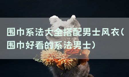 围巾系法大全搭配男士风衣（围巾好看的系法男士）