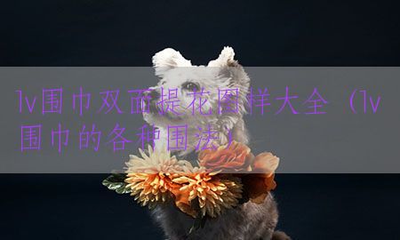 lv围巾双面提花图样大全（lv围巾的各种围法）