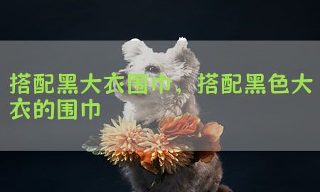 搭配黑大衣围巾，搭配黑色大衣的围巾