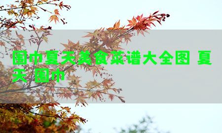 围巾夏天美食菜谱大全图（夏天 围巾）