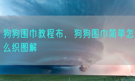 狗狗围巾教程布，狗狗围巾简单怎么织图解