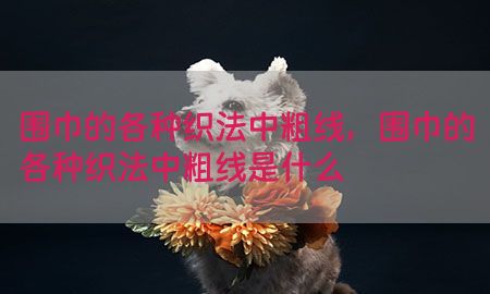 围巾的各种织法中粗线，围巾的各种织法中粗线是什么