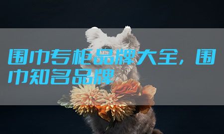 围巾专柜品牌大全，围巾知名品牌