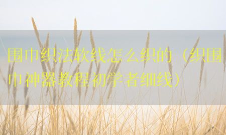 围巾织法软线怎么织的（织围巾神器教程初学者细线）