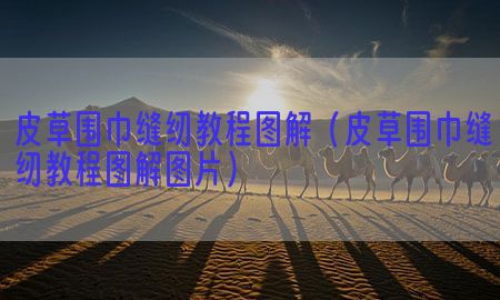 皮草围巾缝纫教程图解（皮草围巾缝纫教程图解图片）