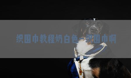 织围巾教程奶白色-织围巾啊