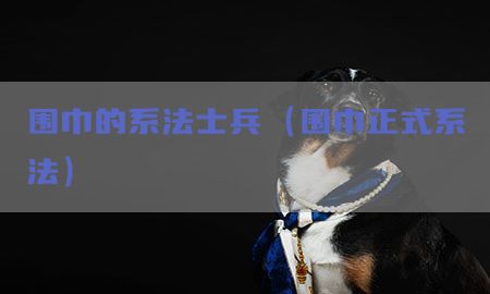 围巾的系法士兵（围巾正式系法）