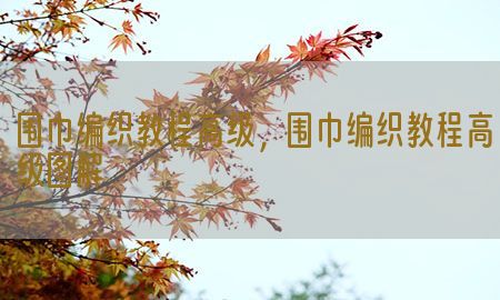 围巾编织教程高级，围巾编织教程高级图解