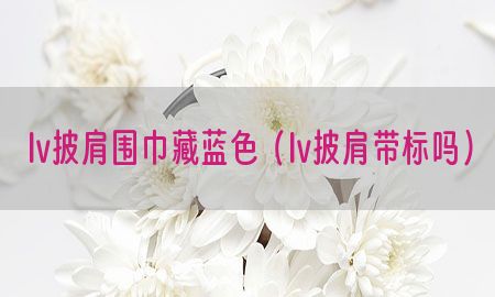 lv披肩围巾藏蓝色（lv披肩带标吗）